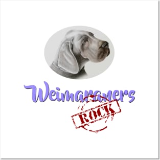 Weimaraners Rock! Posters and Art